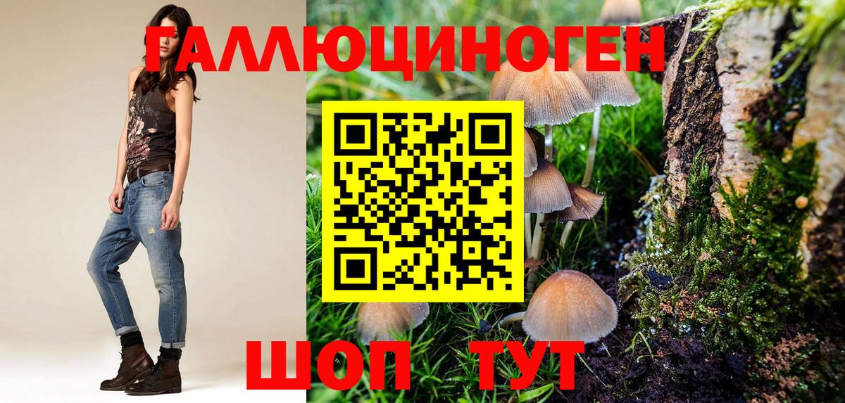 Галлюциногенные грибы прущие грибы  Вход с VPN  Красноперекопск 